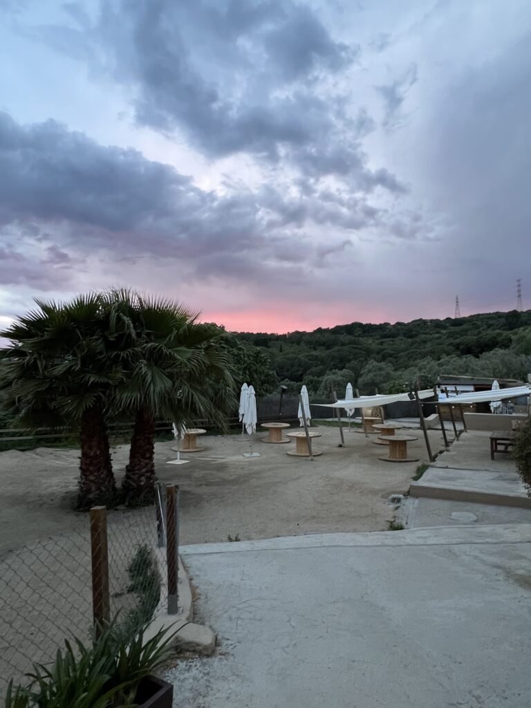 El jardín al atardecer
