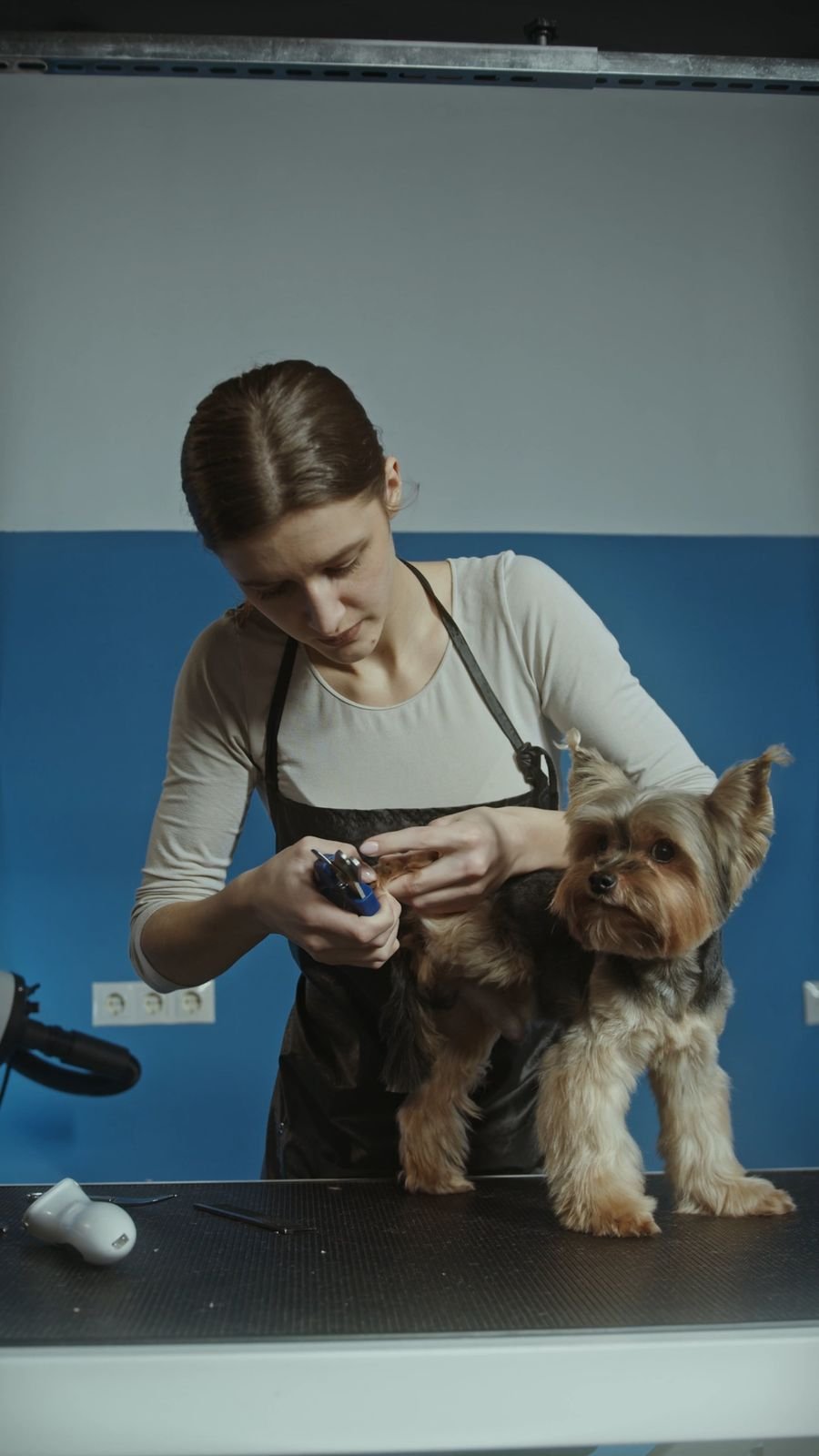 Corte de uñas a un perro