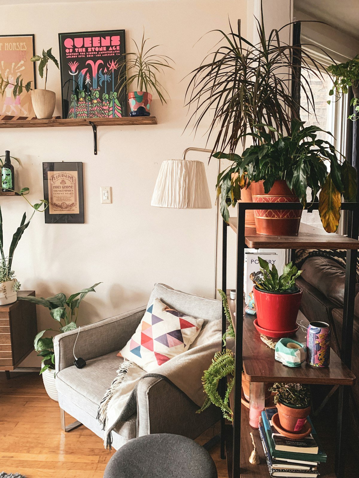 Planta sobre una mesa de madera